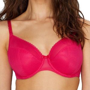 Parisian Paris Plunge Bra